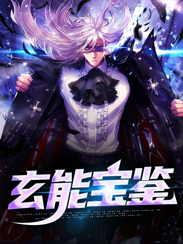 玄能宝鉴 小说