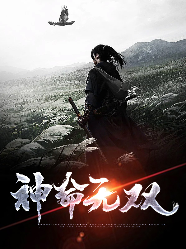 无双vs天命