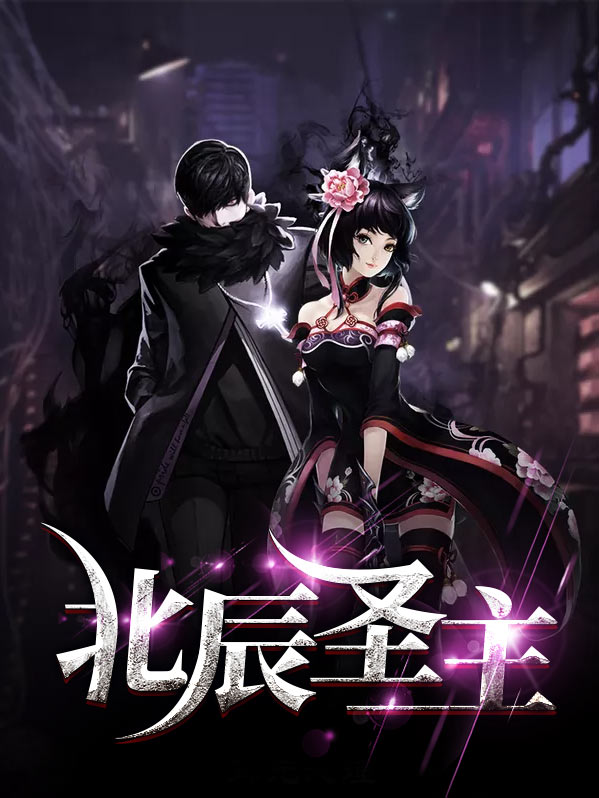 北辰本尊小说