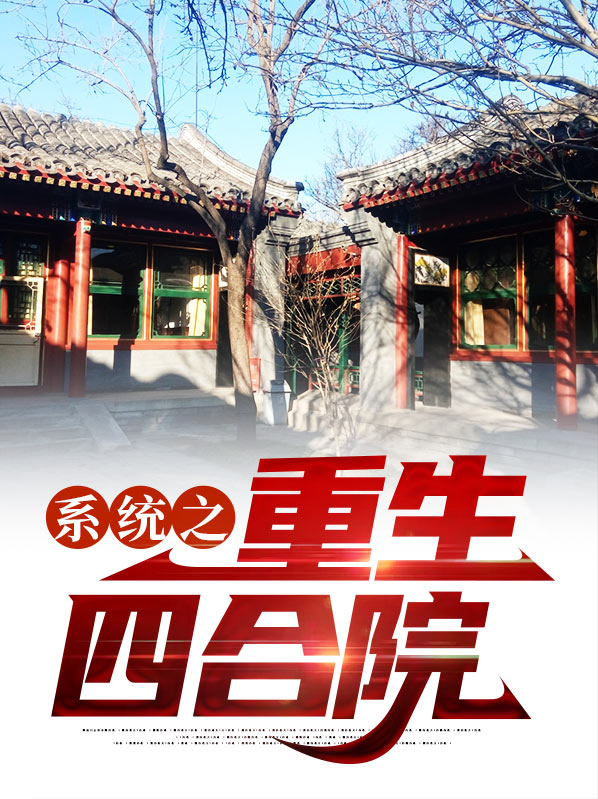 重生之四合院小说