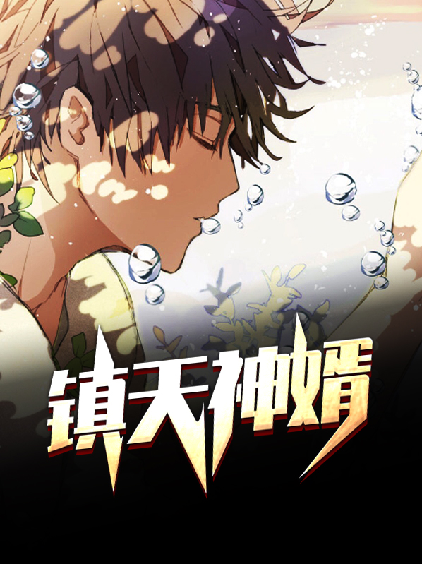 镇天神婿 小说