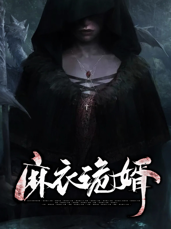 麻衣废婿免费阅读