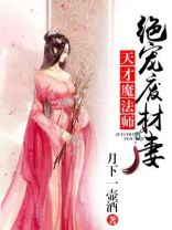 天才魔法小说