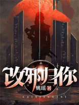 改邪归你