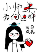 小师弟为何这样小说全文免费阅读
