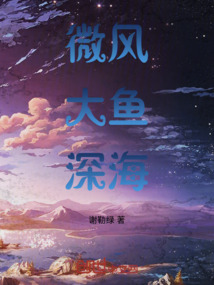 微风吹大海是什么歌