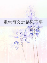 重生写文之路见不平 小说