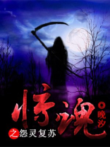 怨灵精魄