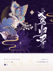 重生之鸢归君心短剧