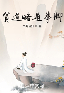贫道略通拳脚无防盗