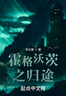 霍格沃茨之归途 小说