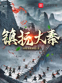 大秦镇国王