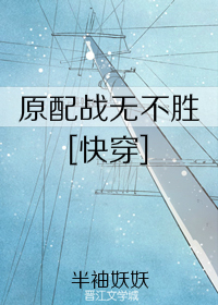 原配战无不胜[快穿]TXT下载