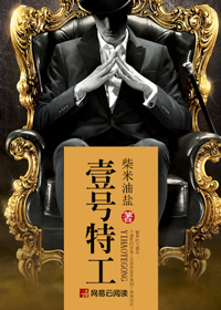小说一号特工