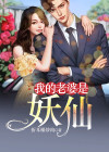 我的老婆是妖仙TXT下载