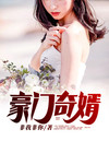 豪门女婿 小说