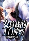 女总裁的上门神婿叶凡唐若雪