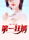 第一狂婿岁月无声