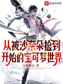 从被沙奈朵捡到开始的宝可梦世界 小说