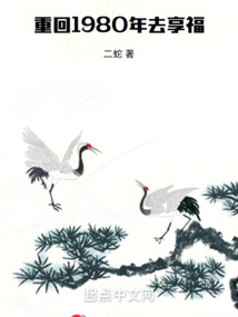 重生1981开局迎娶貌美村花
