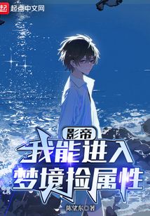 华娱:我能进入梦境捡属性 小说 免费