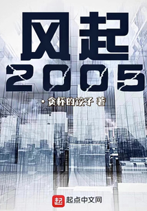 风起2005TXT