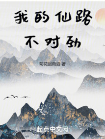 我的仙路不对劲免费阅读