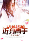 女神总裁的近身高手郎军小说