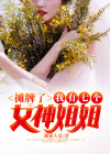 摊牌了!我有七个女神姐姐免费阅读