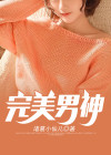 完美男神培养系统