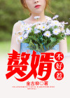 大梁重生赘婿不好惹