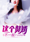 这个赘婿不着调