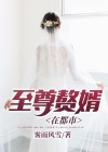 都市至尊赘婿视频