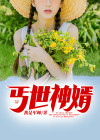 丐世神婿在线观看
