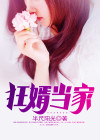 狂婿小说