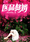 医品赘婿张昊
