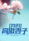 高傲冷漠的妻子