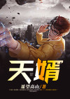 天婿归来完整版