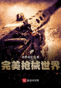 完美平台枪械排名