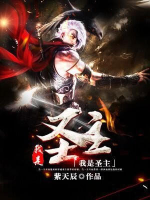 我为圣主