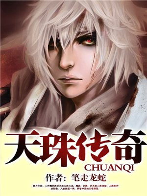天珠传奇小说