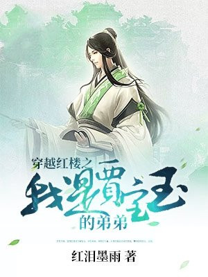 红楼我是贾宝玉哥哥