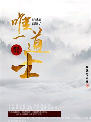 穿越魔法世界我成了唯一道士怎么样