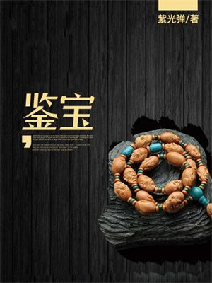 鉴宝无双