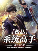 极品系统高手叶南续集
