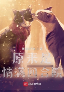 原来是情满四合院147小说