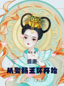 盛唐从娶杨玉环开始免费