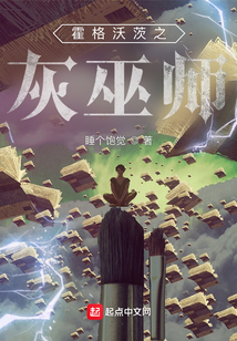 霍格沃茨之灰巫师无错版