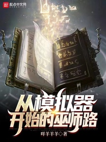 从模拟器开始的巫师路免费阅读