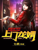 女总裁的上门龙婿百度百科